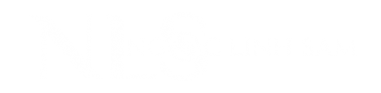 partner's logo